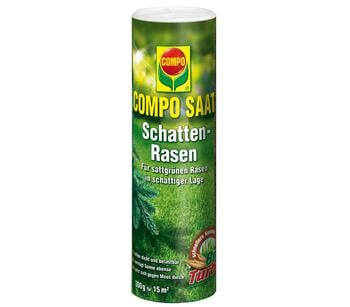 COMPO Saat Schattenrasen
