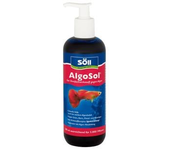 Söll AlgoSol