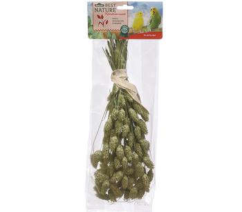 4 x Dehner Best Nature Kanariensaat, 50 g - Mindestbestellmenge: 4 Stk.