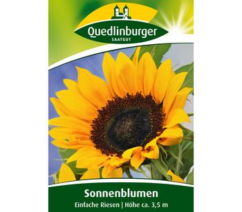 Quedlinburger Samen Sonnenblumen 'Einfache Riesen', Gelb