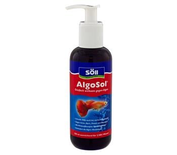 Söll AlgoSol