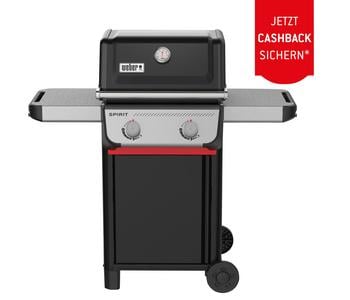 Weber Gasgrill SPIRIT E-210, ca. B123/H117/T67,5 cm