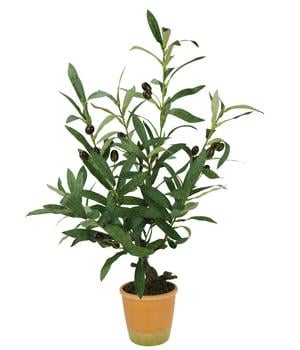 I.GE.A. Kunstpflanze Olive mit schwarzen Oliven, im Topf, ca. H57 cm