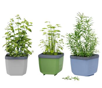 Gusta Garden Kräutertöpfe Herbs Buddy, ca. B19/H14,3/T13,6 cm, 3er-Set