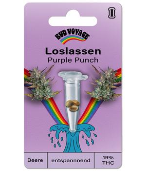 Bud Voyage Hanfsamen Loslassen Purple Punch, 3 Stk.