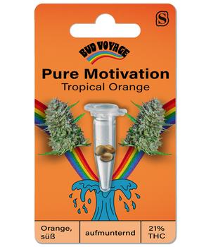 Bud Voyage Hanfsamen Pure Motivation Tropical Orange, 3 Stk.
