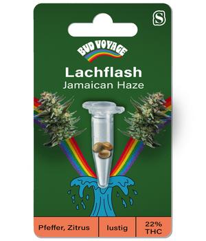 Bud Voyage Hanfsamen Lachflash Jamaican Haze, 3 Stk.