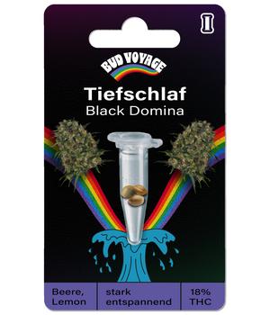 Bud Voyage Hanfsamen Tiefschlaf Black Domina, 3 Stk.