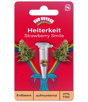 Bud Voyage Hanfsamen Heiterkeit Strawberry Smile, 3 Stk.