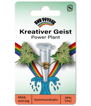 Bud Voyage Hanfsamen Kreativer Geist Power Plant, 3 Stk.