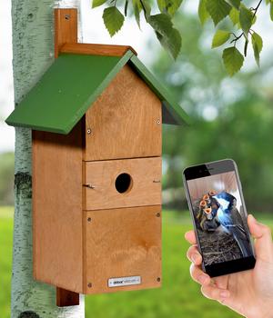 dobar wildlife Nistkasten Karsten, inkl. Kamera, ca. B22,5/H53/T25,5 cm