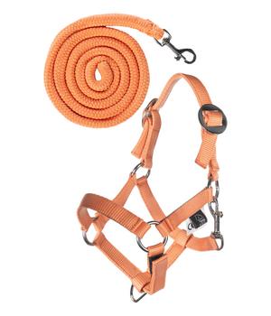 HKM KIDS Hobby Horsing Basic Halfter und Strick