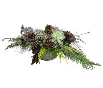 Grabgesteck Hauswurz in Ton-Schale, braun, ca. B40/H50/T25 cm