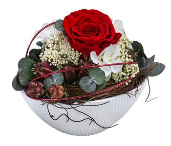 Dehner Keramik-Jardiniere mit Longlife-Rose Tiana, rot, ca. B17/H12/T8 cm