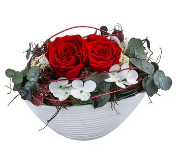 Dehner Keramik-Jardiniere mit Longlife-Rose Kiara, rot, ca. B23/H15/T12 cm