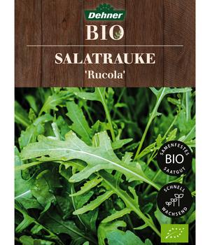 Dehner Bio-Saatgut Salatrauke 'Rucola'