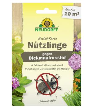 Neudorff Bestell-Karte Nützlinge gegen Dickmaulrüssler, für 10 qm, 1 Stk.
