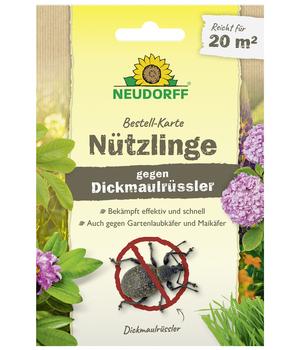 Neudorff Bestell-Karte Nützlinge gegen Dickmaulrüssler, für 20 qm, 1 Stk.