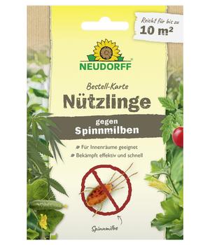Neudorff Bestell-Karte Nützlinge gegen Spinnmilben, 1 Stk.