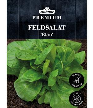 Dehner Premium Samen Feldsalat 'Elan'