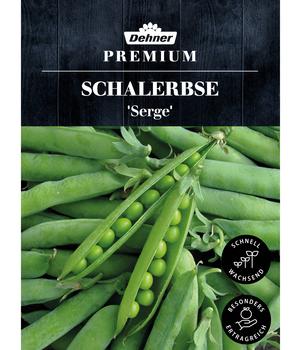Dehner Premium Samen Schalerbse 'Serge'