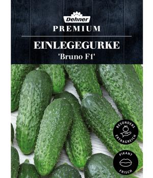 Dehner Premium Samen Einlegegurke 'Bruno F1'