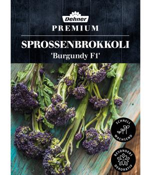 Dehner Premium Samen Sprossenbrokkoli 'Burgundy F1'