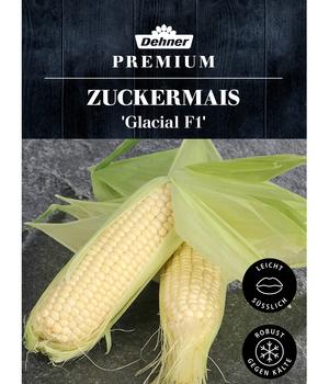 Dehner Premium Samen Zuckermais 'Glacial F1'