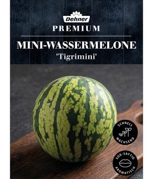 Dehner Premium Samen Mini-Wassermelone 'Tigrimini'