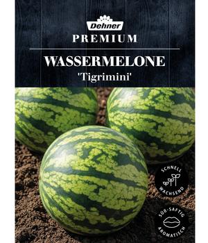Dehner Premium Samen Wassermelone 'Tigrimini'