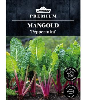 Dehner Premium Samen Mangold 'Peppermint'