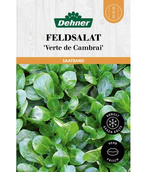 Dehner Saatband Feldsalat 'Verte de Cambrai', L5 m