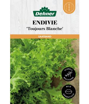 Dehner Saatband Endivie 'Toujours Blanche', L5 m