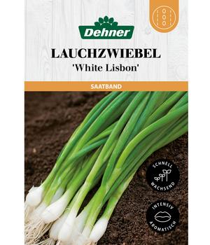 Dehner Saatband Lauchzwiebel 'White Lisbon', L5 m