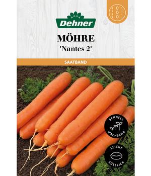 Dehner Saatband Möhre 'Nantes 2', L5 m