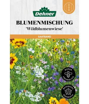 Dehner Saatband Blumenmischung 'Wildblumenwiese', L5 m