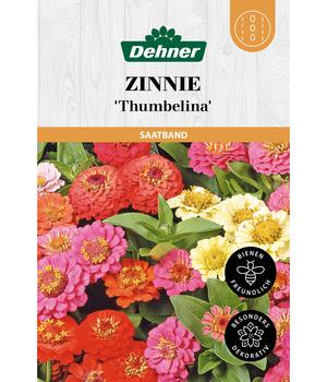 Dehner Saatband Zinnie 'Thumbelina', L5 m