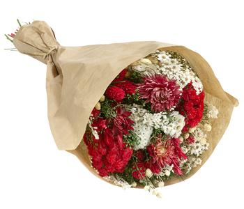 Trockenblumenbouquet Giardino, rot/natur