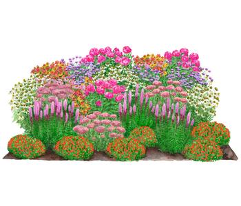 Bio Stauden-Set Blütenkollektion, Landlust Kollektion, 24-teilig