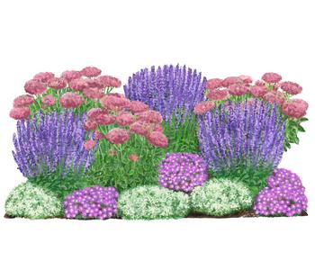 Bio Stauden-Set Terrassenglück, Landlust Kollektion, 12-teilig