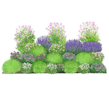 Bio Stauden-Set Heimatgarten, Landlust Kollektion, 24-teilig