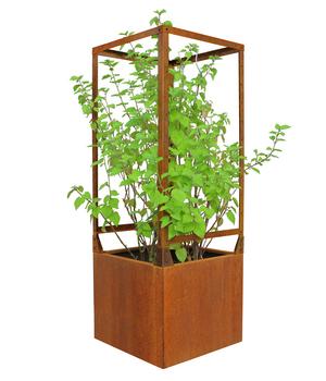 Palatino Cortenstahl-Pflanzkübel Clara mit Rankkäfig, quadratisch, braun, ca. B60/H163/T60 cm
