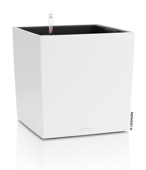 LECHUZA® Kunststoff-Topf Cube, rechteckig