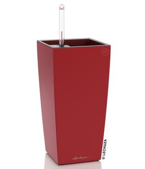 LECHUZA® MAXI/MINI-CUBI, All-in-One-Set, matt