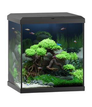 JUWEL® AQUARIUM Vio Cube 54, ca. B41/H47/T36 cm, 54 l