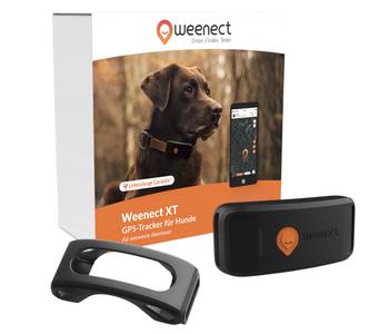 Weenect XT GPS-Tracker für Hunde