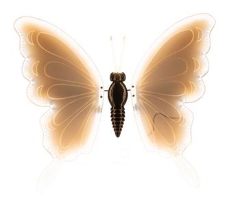 Anna's Collection LED-Schmetterling, beweglich, warmweiß, ca. B55/H46/T12 cm