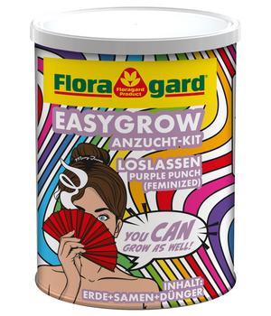 Floragard EasyGrow Anzucht-Kit Loslassen Purple Punch (Feminized), 1 l