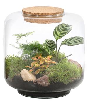 Flaschengarten DIY-Set Terragreen, 8-teilig, ca. Ø24/H24 cm