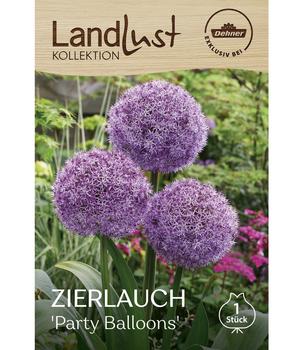 Dehner Landlust Kollektion Blumenzwiebel Zierlauch 'Party Balloons', 1 Stk.